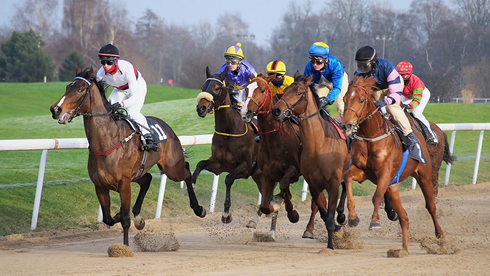 stratégies avancées de paris sur les courses de chevaux
