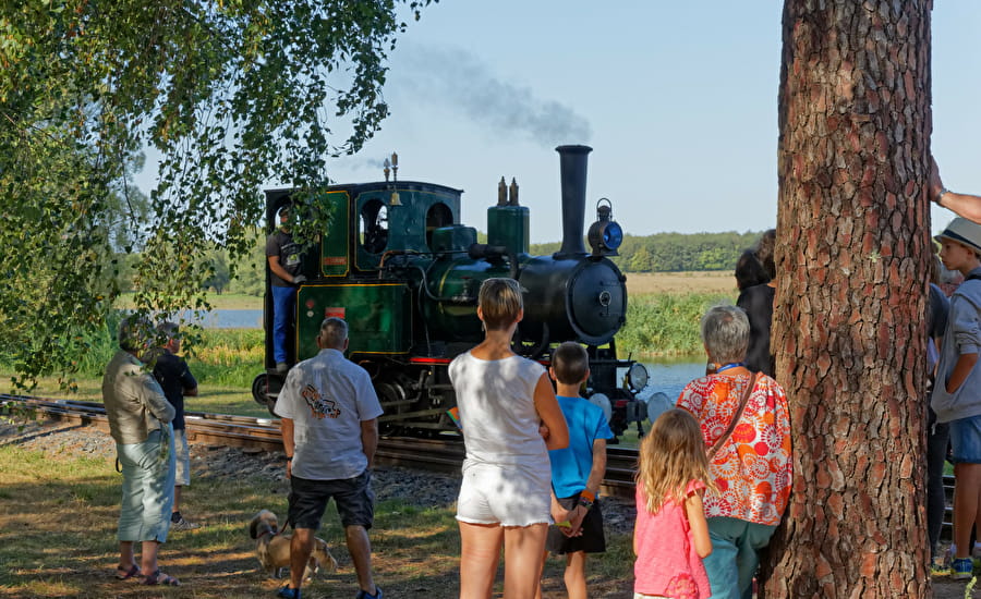 The Lac de Rillé Steam Train